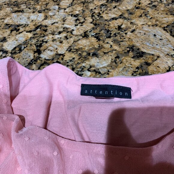 Pink Netting Blouse - Picture 3 of 3